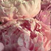 ヒメ日記 2025/04/14 21:03 投稿 新人・晴(はる) グランドオペラ福岡