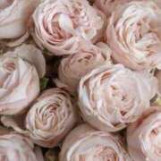 ヒメ日記 2025/04/19 17:28 投稿 新人・晴(はる) グランドオペラ福岡