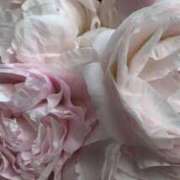 ヒメ日記 2025/04/20 01:25 投稿 新人・晴(はる) グランドオペラ福岡