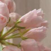 ヒメ日記 2025/04/21 11:03 投稿 新人・晴(はる) グランドオペラ福岡