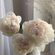 ヒメ日記 2025/04/26 17:04 投稿 新人・晴(はる) グランドオペラ福岡