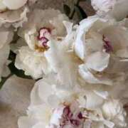 ヒメ日記 2025/04/26 20:32 投稿 新人・晴(はる) グランドオペラ福岡