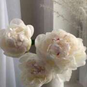 ヒメ日記 2025/04/27 14:02 投稿 新人・晴(はる) グランドオペラ福岡