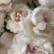 ヒメ日記 2025/04/27 14:21 投稿 新人・晴(はる) グランドオペラ福岡