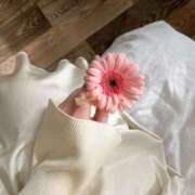 ヒメ日記 2025/04/29 20:41 投稿 新人・晴(はる) グランドオペラ福岡