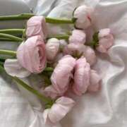 ヒメ日記 2025/05/03 16:52 投稿 新人・晴(はる) グランドオペラ福岡