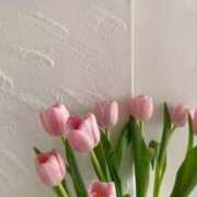 ヒメ日記 2025/05/05 01:21 投稿 新人・晴(はる) グランドオペラ福岡