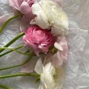 ヒメ日記 2025/05/11 18:51 投稿 新人・晴(はる) グランドオペラ福岡