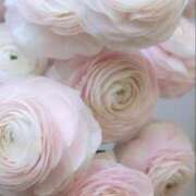 ヒメ日記 2025/05/24 15:02 投稿 新人・晴(はる) グランドオペラ福岡