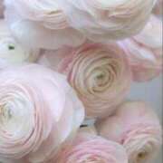 ヒメ日記 2025/05/24 19:10 投稿 新人・晴(はる) グランドオペラ福岡