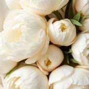 ヒメ日記 2025/05/24 20:08 投稿 新人・晴(はる) グランドオペラ福岡