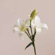 ヒメ日記 2025/06/14 17:02 投稿 新人・晴(はる) グランドオペラ福岡