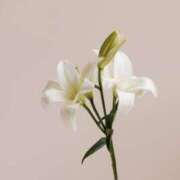 ヒメ日記 2025/06/14 19:21 投稿 新人・晴(はる) グランドオペラ福岡