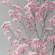 ヒメ日記 2025/06/29 15:02 投稿 新人・晴(はる) グランドオペラ福岡