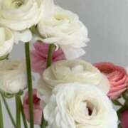 ヒメ日記 2025/06/29 16:51 投稿 新人・晴(はる) グランドオペラ福岡