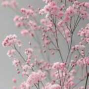 ヒメ日記 2025/06/29 23:43 投稿 新人・晴(はる) グランドオペラ福岡