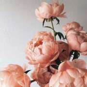 ヒメ日記 2025/07/05 15:03 投稿 新人・晴(はる) グランドオペラ福岡