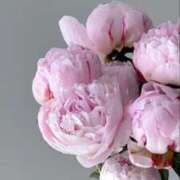 ヒメ日記 2025/07/06 01:21 投稿 新人・晴(はる) グランドオペラ福岡