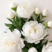 ヒメ日記 2025/07/06 19:24 投稿 新人・晴(はる) グランドオペラ福岡