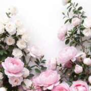 ヒメ日記 2025/07/07 18:02 投稿 新人・晴(はる) グランドオペラ福岡