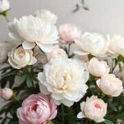 ヒメ日記 2025/07/12 15:04 投稿 新人・晴(はる) グランドオペラ福岡