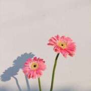 ヒメ日記 2025/07/12 23:48 投稿 新人・晴(はる) グランドオペラ福岡