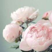 ヒメ日記 2025/07/12 23:54 投稿 新人・晴(はる) グランドオペラ福岡