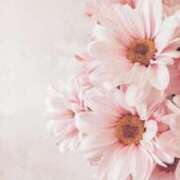 ヒメ日記 2025/07/13 15:09 投稿 新人・晴(はる) グランドオペラ福岡