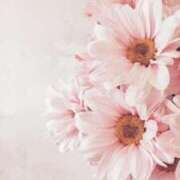 ヒメ日記 2025/07/13 22:21 投稿 新人・晴(はる) グランドオペラ福岡