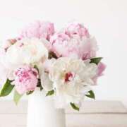 ヒメ日記 2025/07/13 22:26 投稿 新人・晴(はる) グランドオペラ福岡