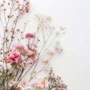 ヒメ日記 2025/07/13 22:53 投稿 新人・晴(はる) グランドオペラ福岡