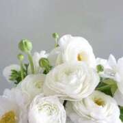 ヒメ日記 2025/07/20 02:21 投稿 新人・晴(はる) グランドオペラ福岡