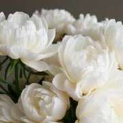 ヒメ日記 2025/08/01 02:21 投稿 新人・晴(はる) グランドオペラ福岡