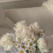 ヒメ日記 2025/08/03 06:04 投稿 新人・晴(はる) グランドオペラ福岡