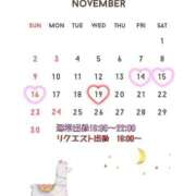 ヒメ日記 2025/11/11 02:41 投稿 新人・晴(はる) グランドオペラ福岡