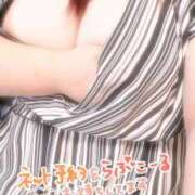 ヒメ日記 2025/07/02 12:23 投稿 ひまわり いわき小名浜ちゃんこ