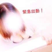 ヒメ日記 2025/09/18 17:43 投稿 ひまわり いわき小名浜ちゃんこ