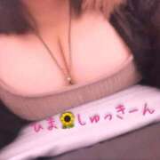 ヒメ日記 2026/09/10 14:33 投稿 ひまわり いわき小名浜ちゃんこ