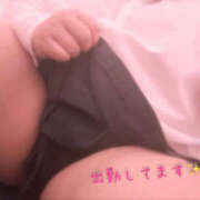 ヒメ日記 2026/10/13 16:23 投稿 ひまわり いわき小名浜ちゃんこ
