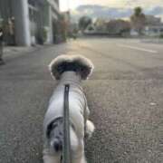 ヒメ日記 2025/04/16 09:33 投稿 心愛 NEW GENERATION