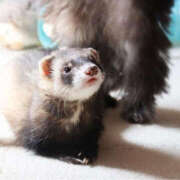 ヒメ日記 2025/04/25 11:57 投稿 心愛 NEW GENERATION