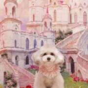 ヒメ日記 2025/08/07 19:36 投稿 心愛 NEW GENERATION