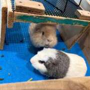 ヒメ日記 2026/03/22 15:48 投稿 もあ 沖縄素人図鑑