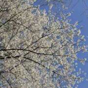 さえ 明日は出勤します🌸 東京人妻セレブリティ（ユメオト）