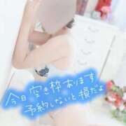 ヒメ日記 2025/04/07 10:09 投稿 近本　絵里 AZITO V.I.P