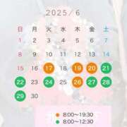 ヒメ日記 2025/06/14 07:04 投稿 近本　絵里 AZITO V.I.P
