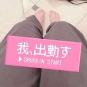 ヒメ日記 2025/06/27 08:12 投稿 近本　絵里 AZITO V.I.P