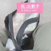 ヒメ日記 2025/08/09 07:05 投稿 近本　絵里 AZITO V.I.P