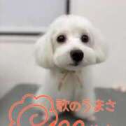 ヒメ日記 2025/04/18 14:21 投稿 りさ CECIL