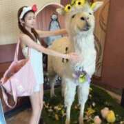 ヒメ日記 2025/07/07 05:05 投稿 りさ CECIL